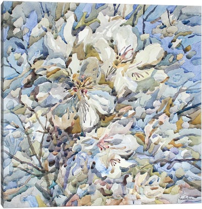 Pear Blossom Canvas Art Print - Tanbelia