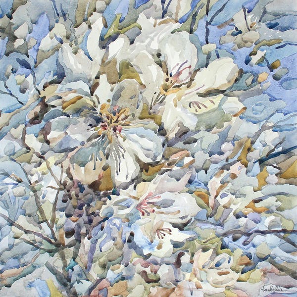 Pear Blossoms