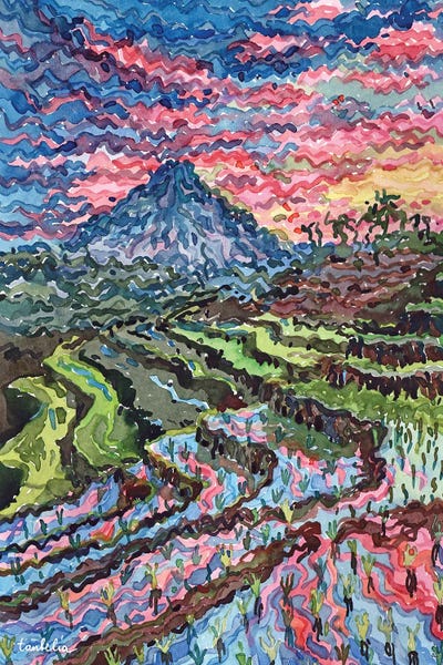 Indonesian Rise Field by Tanbelia framed canvas print