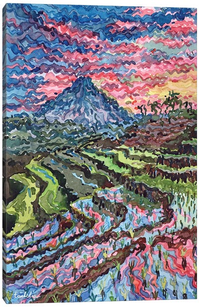 Indonesian Rise Field Canvas Art Print - Indonesia Art