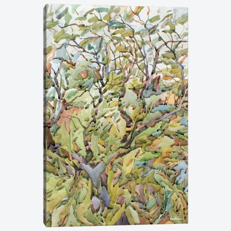 Young Tree Canvas Print #TBA54} by Tanbelia Canvas Art Print