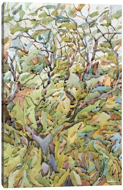Young Tree Canvas Art Print - Tanbelia