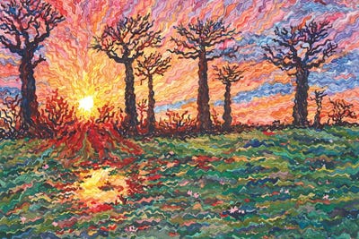 Avenue Of The Baobabs by Tanbelia framed wall art