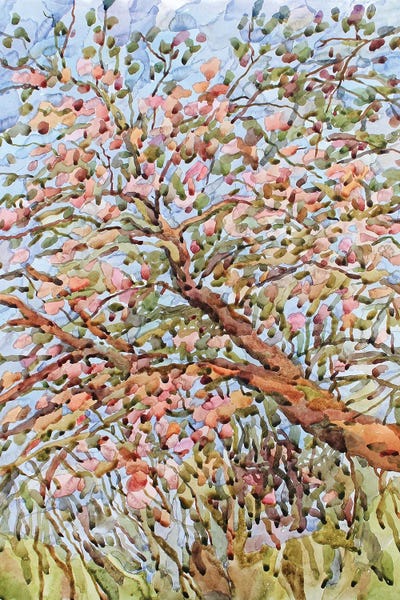 Blooming Apple Tree by Tanbelia framed wall art