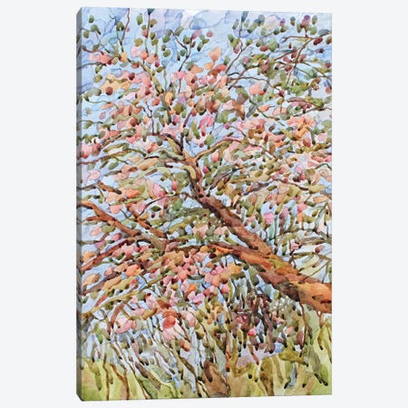 Blooming Apple Tree Canvas Print #TBA59} by Tanbelia Canvas Art