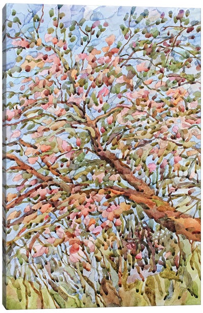 Blooming Apple Tree Canvas Art Print - Tanbelia