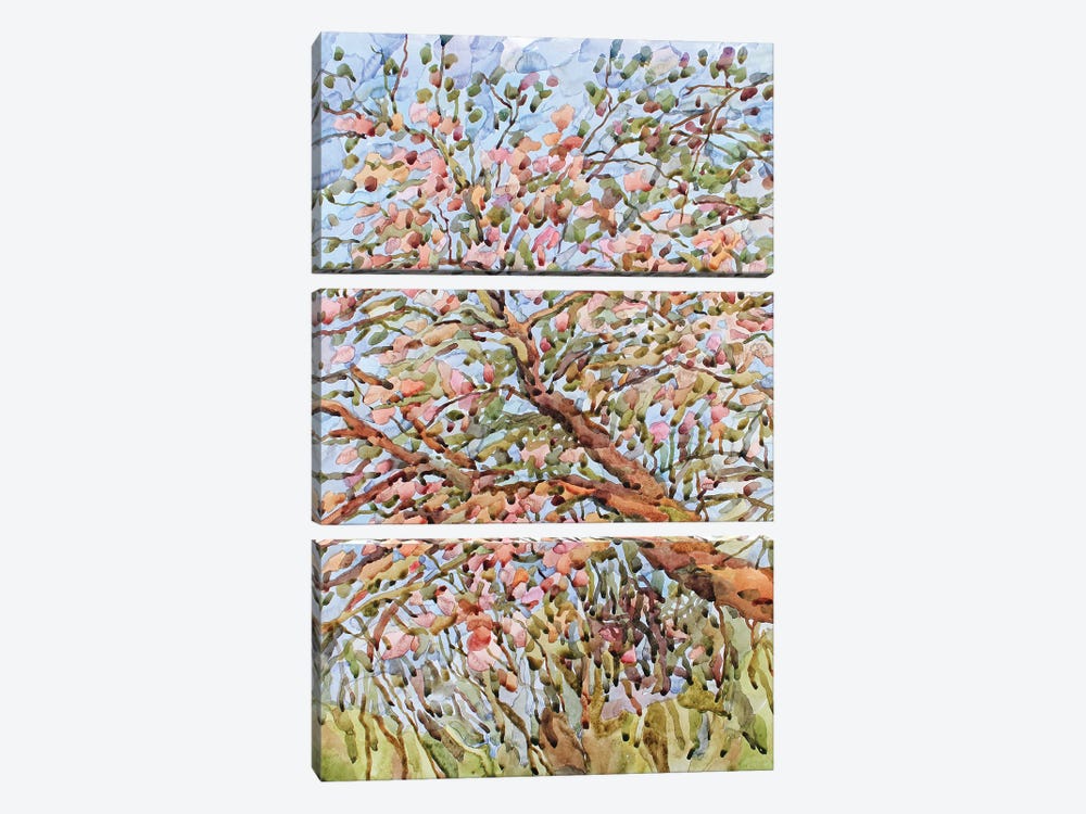 Blooming Apple Tree by Tanbelia 3-piece Canvas Print