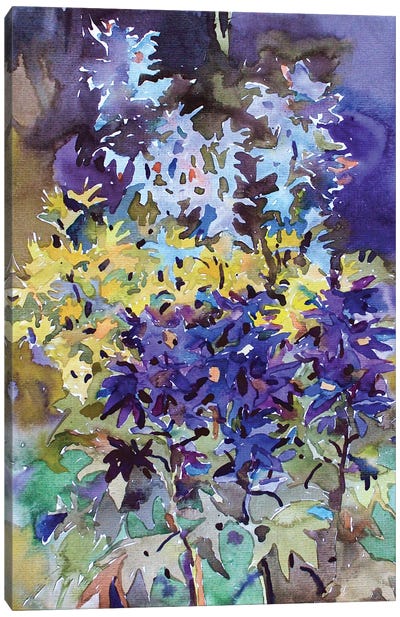 Delphinium Flowers Canvas Art Print - Tanbelia