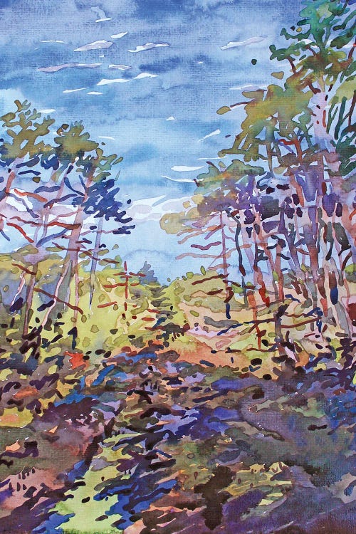 One Summer Day In The Forest