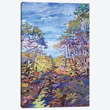 One Summer Day In The Forest Canvas Print #TBA64} by Tanbelia Canvas Artwork