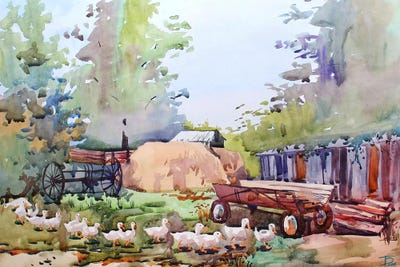 Ducks by Tanbelia framed wall art