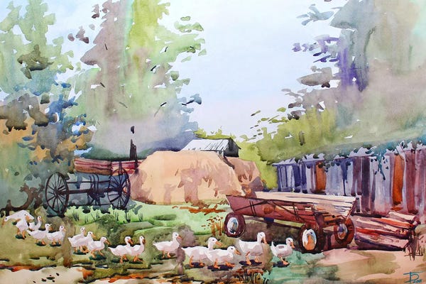 Tanbelia: Ducks by Tanbelia