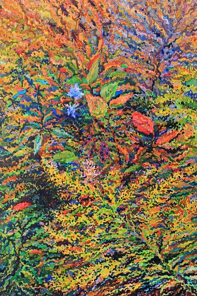 Echium Flowers Surrounded By Autumn Herbs by Tanbelia framed wall art