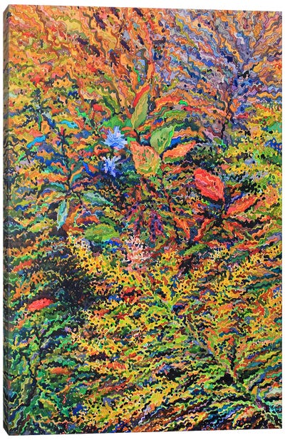 Echium Flowers Surrounded By Autumn Herbs Canvas Art Print - Tanbelia