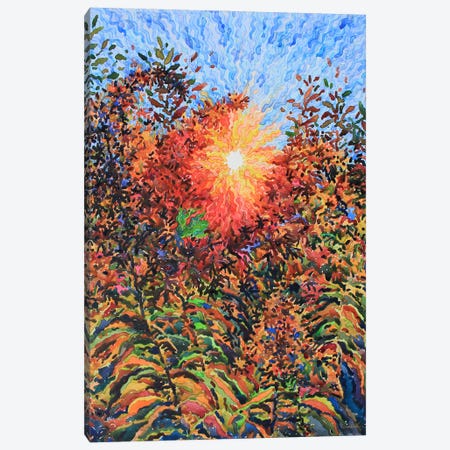 Fiery Goldenrod On The Sunset Canvas Print #TBA73} by Tanbelia Canvas Artwork