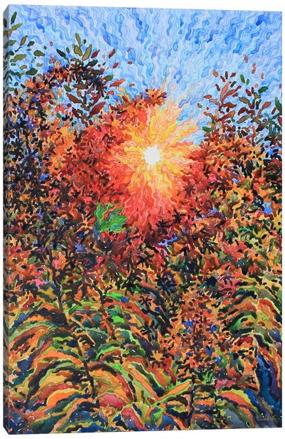 Fiery Goldenrod On The Sunset Canvas Art Print - Tanbelia
