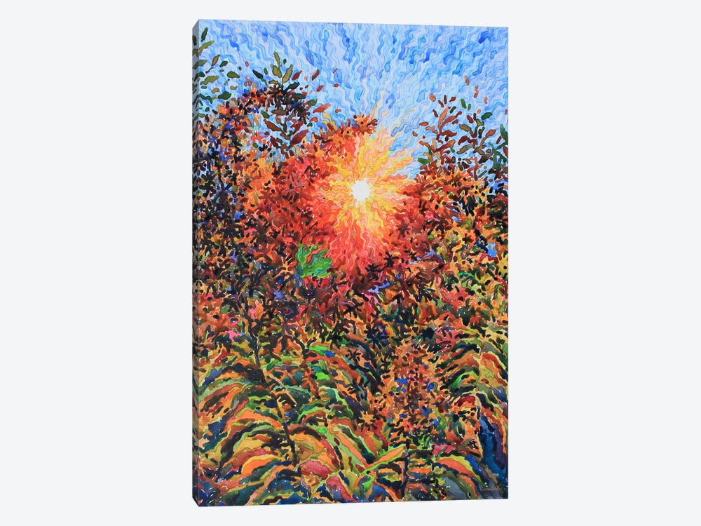 Fiery Goldenrod On The Sunset by Tanbelia 1-piece Canvas Print