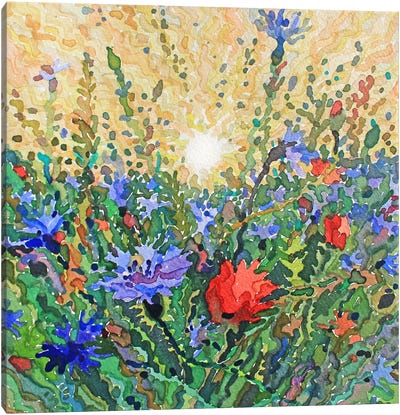 Fresh Summer Sunrise Canvas Art Print - Tanbelia