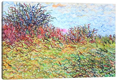 Goldenrod Field Canvas Art Print - Tanbelia