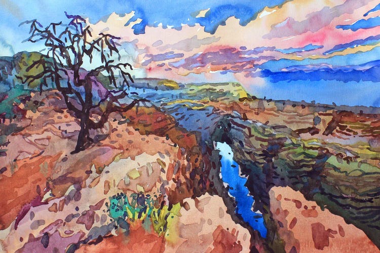 Grand Canyon National Park by Tanbelia wall art
