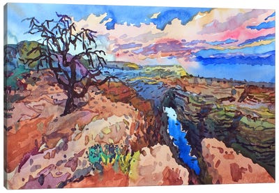 Grand Canyon National Park Canvas Art Print - Tanbelia