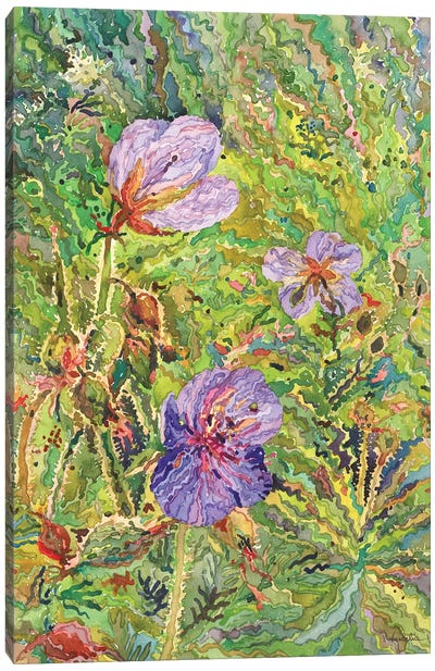 Purple Geranium Flowers Canvas Art Print - Geranium Art