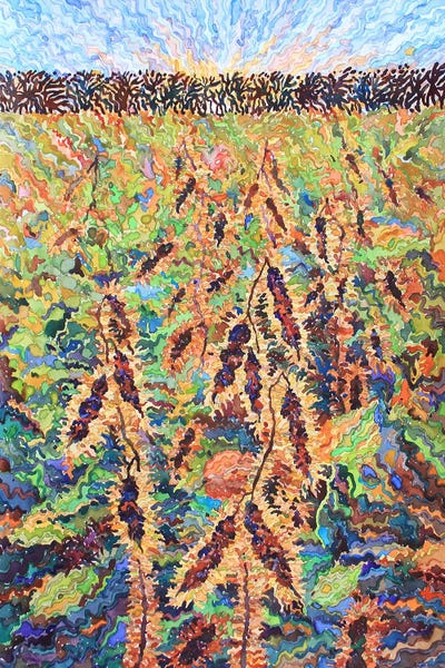 Tanbelia: Haricot by Tanbelia