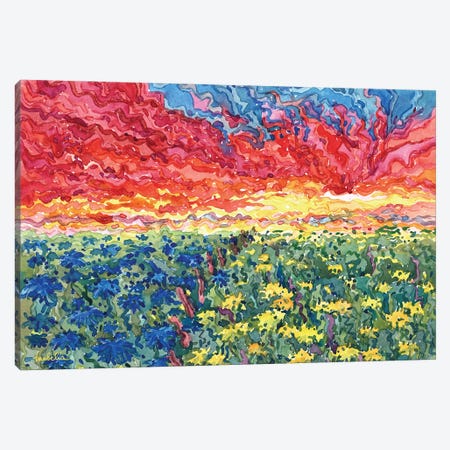 Sunset On The Ukrainian Field Canvas Print #TBA8} by Tanbelia Canvas Artwork