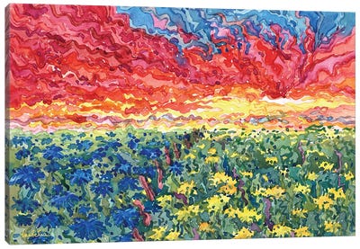 Sunset On The Ukrainian Field Canvas Art Print - Tanbelia