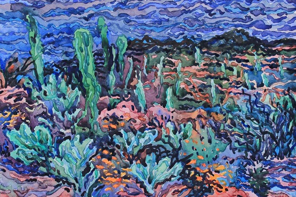 Tanbelia: Evening Saguaro National Park by Tanbelia
