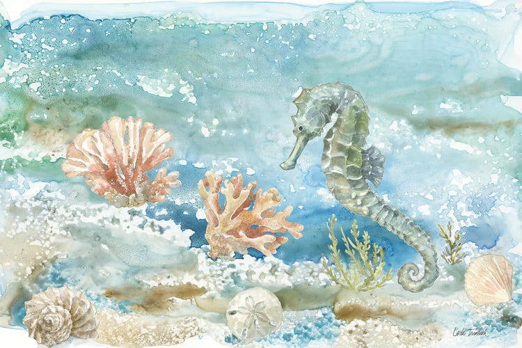 Under Sea Life II by Leslie Trimbach wall art