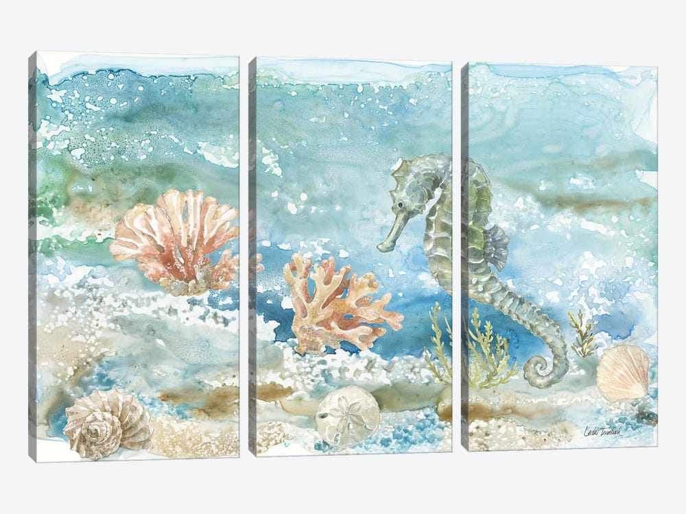 Under Sea Life II by Leslie Trimbach 3-piece Canvas Print