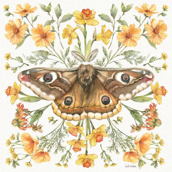 Moths: Moth Art I by Leslie Trimbach