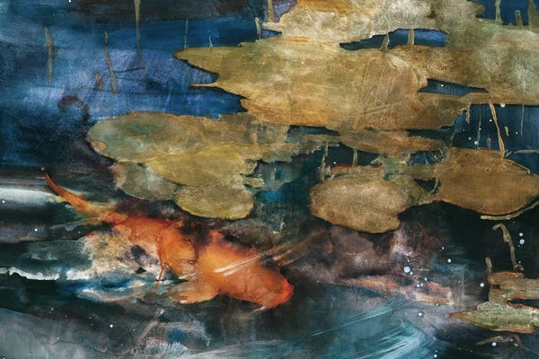 Fish: Koi by Theo Beck