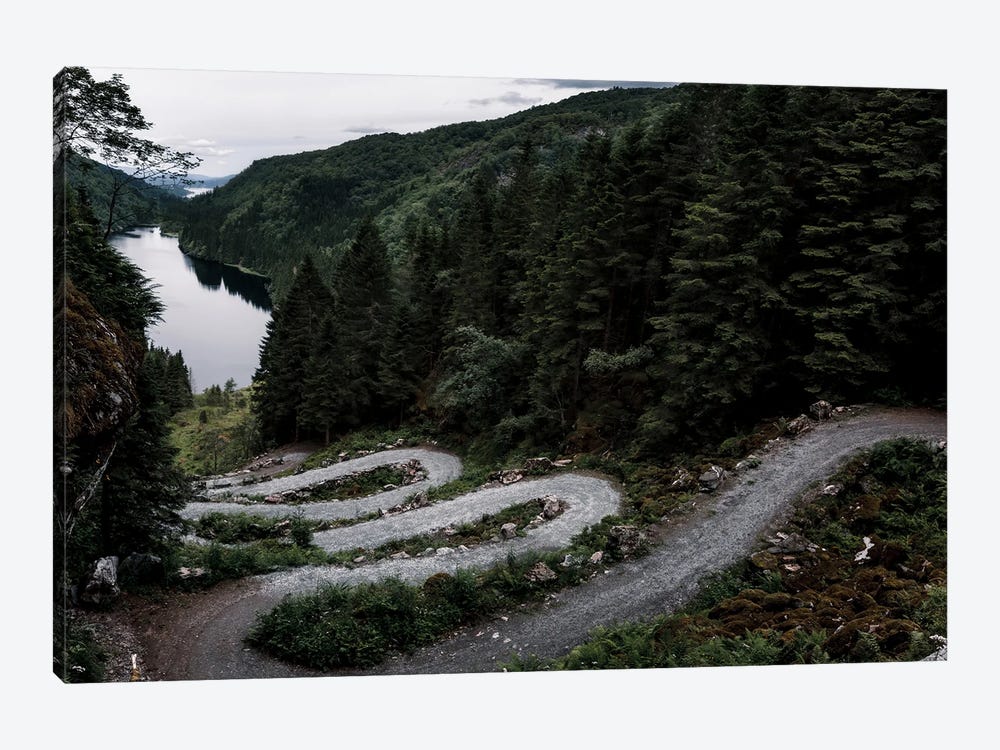 Winding Trails by Thomas Berge 1-piece Canvas Print