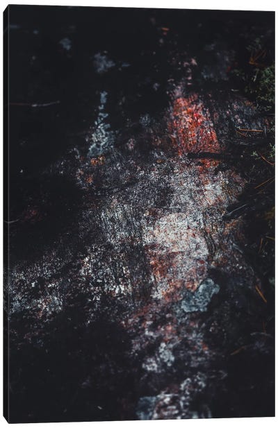 Dark Caves Canvas Art Print - Abstract Photography