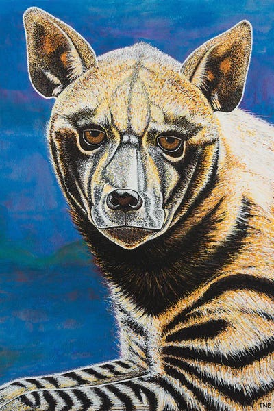 Striped Hyena by Teal Buehler acrylic art print