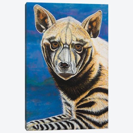 Striped Hyena Canvas Print #TBH100} by Teal Buehler Canvas Art