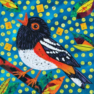 Towhee Notes by Teal Buehler acrylic art print