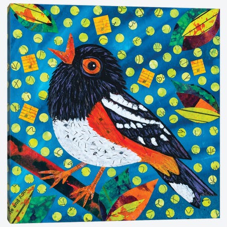 Towhee Notes Canvas Print #TBH103} by Teal Buehler Canvas Art