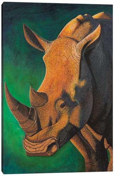 Rhinoceros Canvas Art Print - Teal Buehler