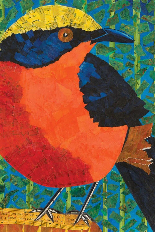Yellow Crowned Gonolek by Teal Buehler wall art