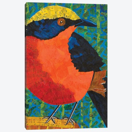 Yellow Crowned Gonolek Canvas Print #TBH111} by Teal Buehler Canvas Art Print