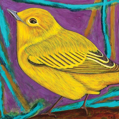 Yellow Warbler by Teal Buehler acrylic art print