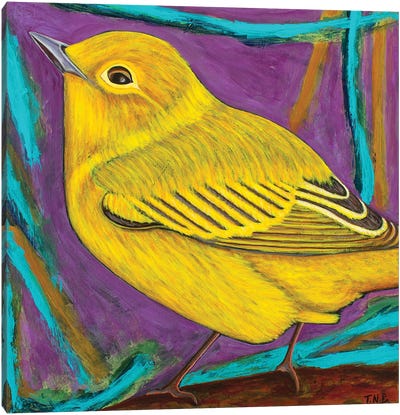 Yellow Warbler Canvas Art Print - Teal Buehler