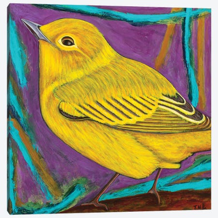 Yellow Warbler Canvas Print #TBH112} by Teal Buehler Canvas Print