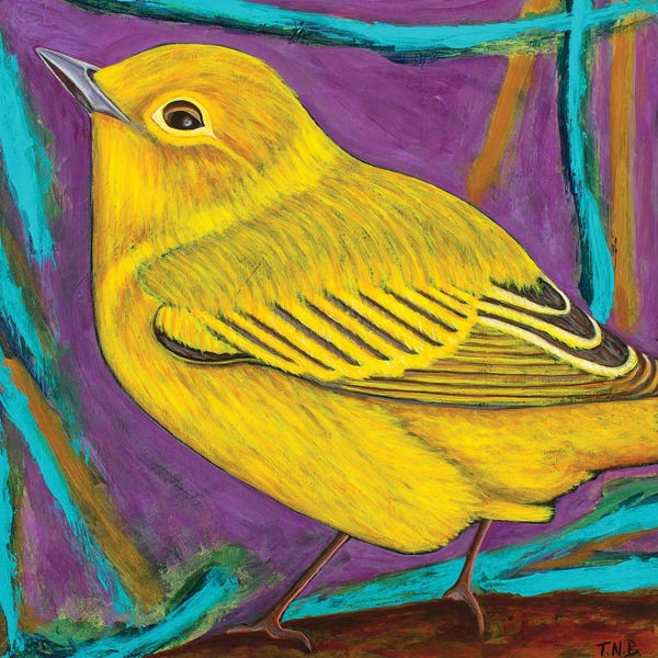 Teal Buehler: Yellow Warbler by Teal Buehler