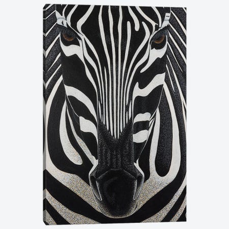 Zebra Canvas Print #TBH113} by Teal Buehler Canvas Art Print