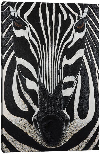 Zebra Canvas Art Print - Teal Buehler