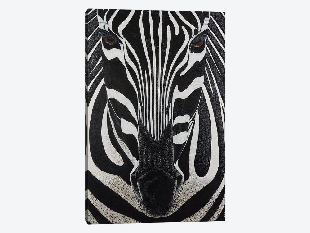 Zebra by Teal Buehler 1-piece Canvas Art Print